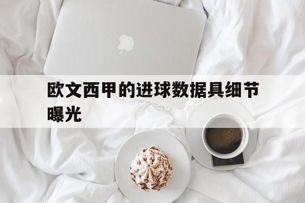 欧文西甲的进球数据具细节曝光(欧文进球集锦)|多宝棋牌官网